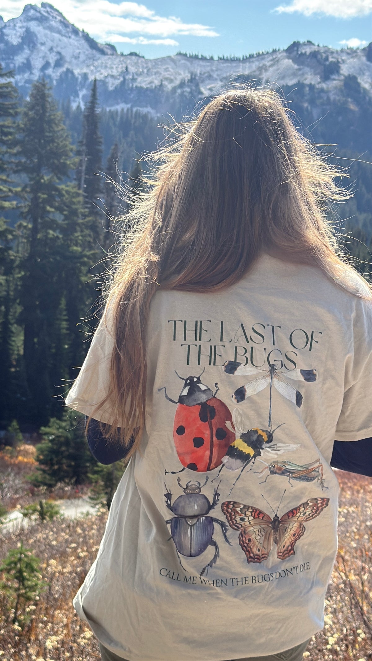 last bugs 🐛