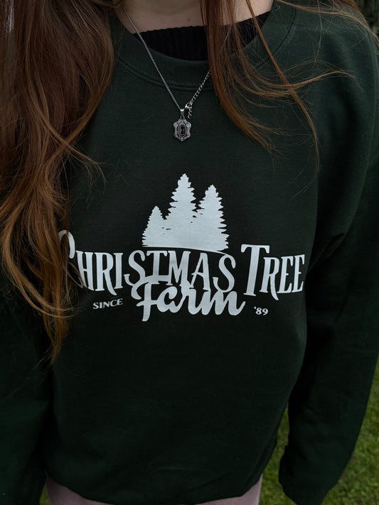 Christmas tree farm
