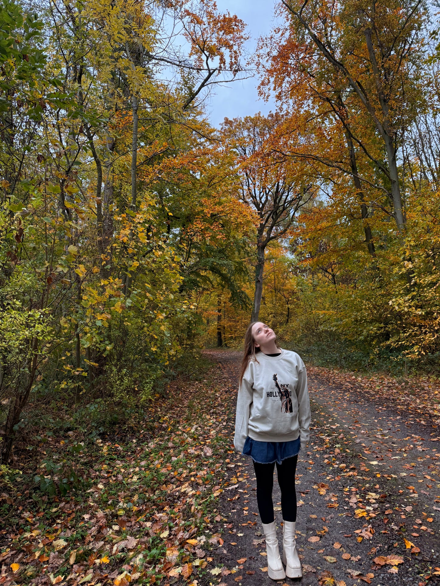 Hollywood sweatshirt